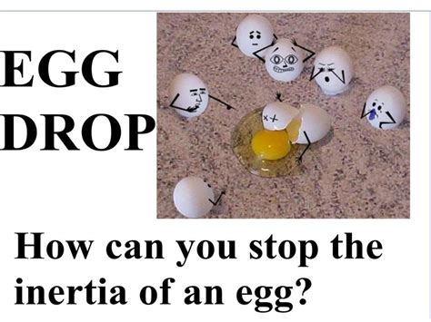 egg drop research method